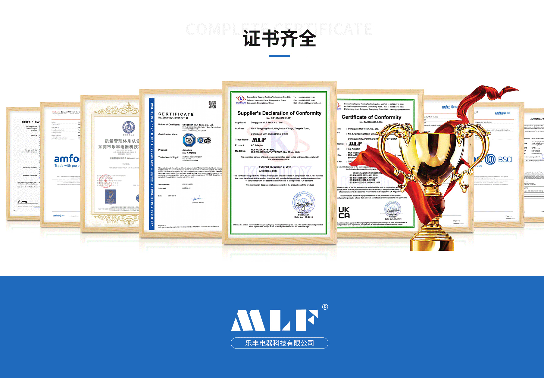 东莞市乐丰电器科技有限公司